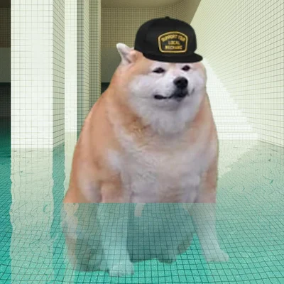 Le Discord Anime pfp has arrived : r/dogelore